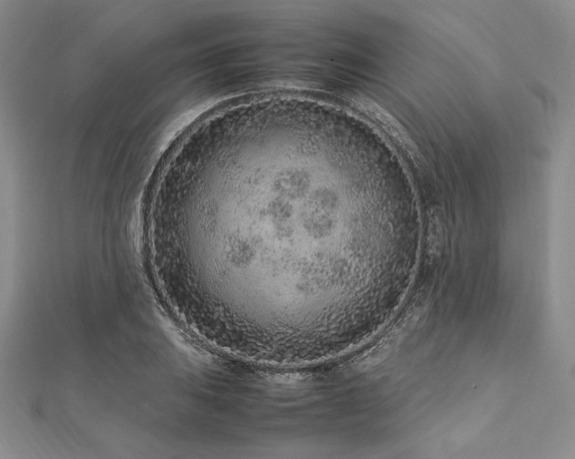 X0000113011031200908271404