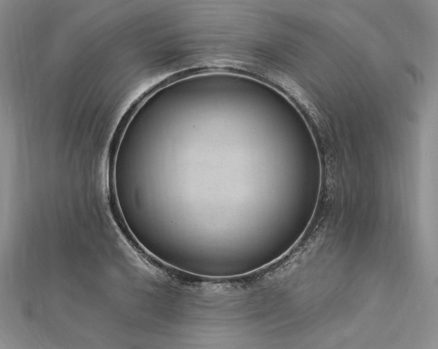 X0000113011032200908271404