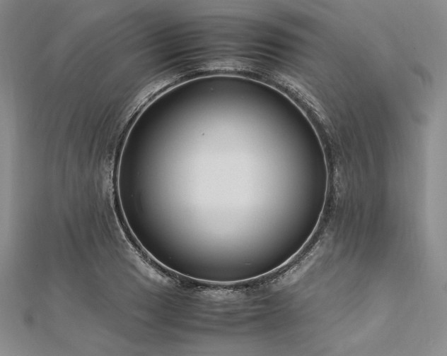 X0000113011033200908271404