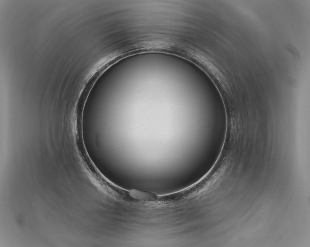 X0000113011034200908271404