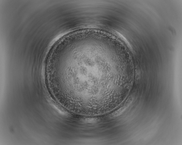 X0000113011035200908271404