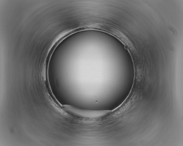 X0000113011036200908271404