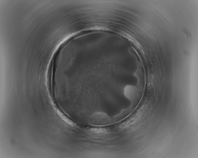 X0000113011037200908271404