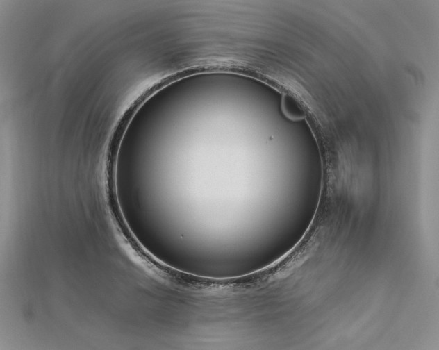 X0000113011038200908271404