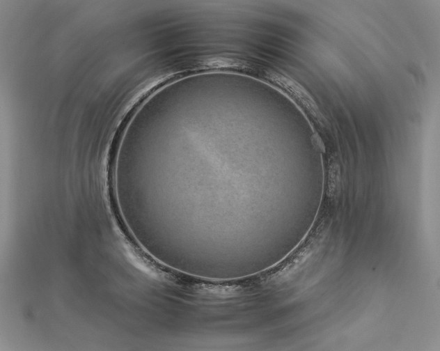 X0000113011039200908271404