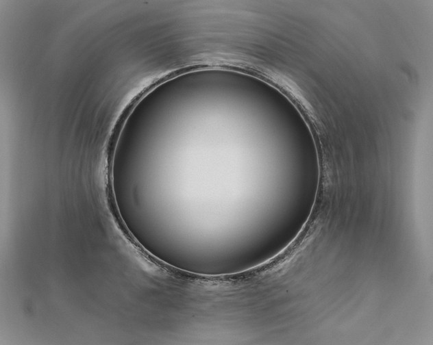 X0000113011040200908271404