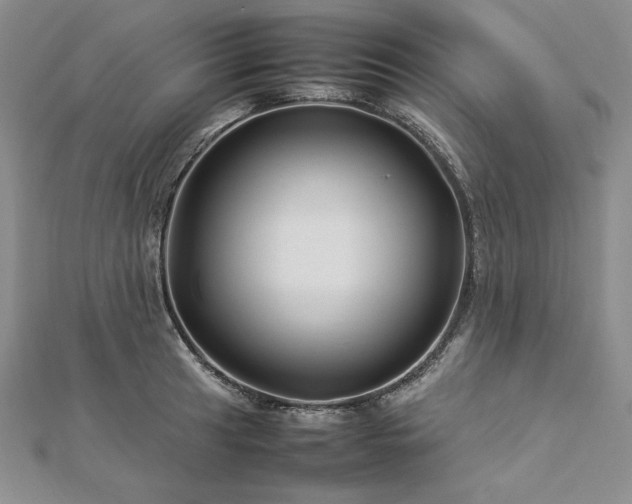 X0000113011041200908271404