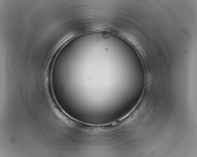 X0000113011042200908271404