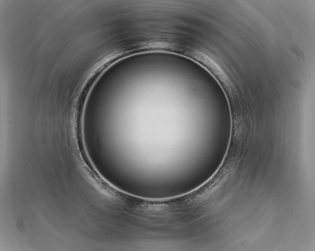 X0000113011043200908271404