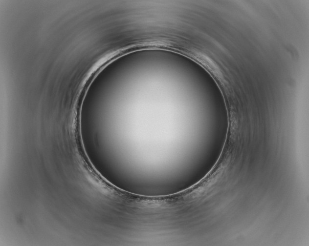 X0000113011044200908271404