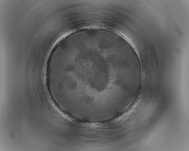 X0000113011045200908271404