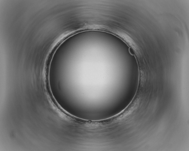 X0000113011046200908271404