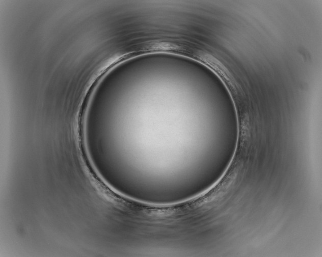 X0000113011047200908271404