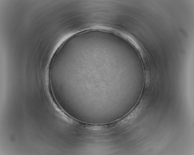 X0000113011048200908271404