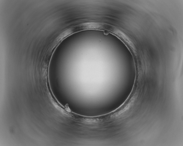 X0000113011049200908271404