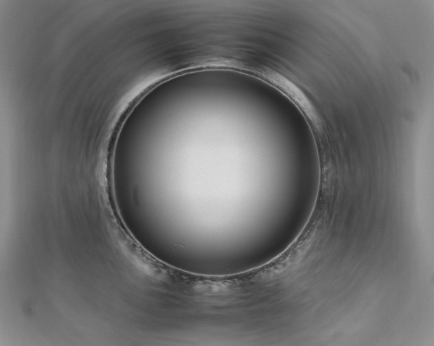 X0000113011051200908271404