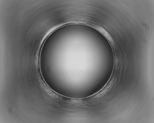 X0000113011052200908271404