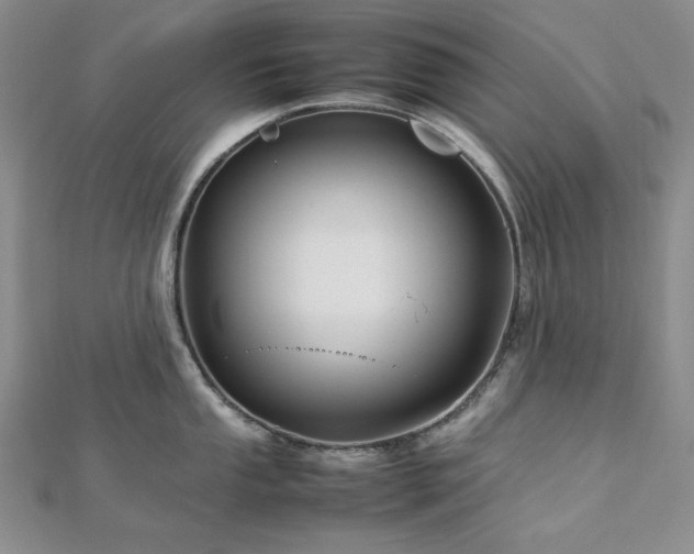 X0000113011053200908271404