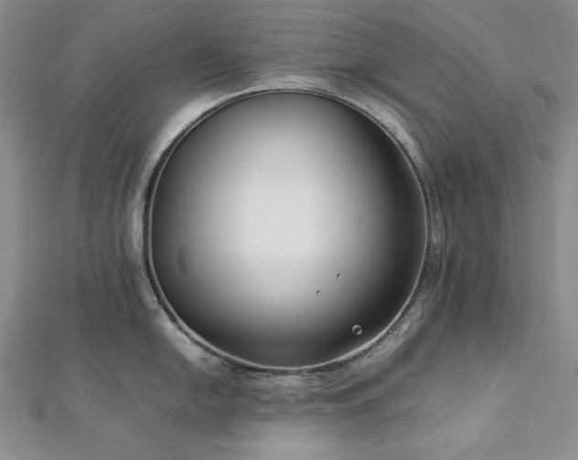 X0000113011054200908271404