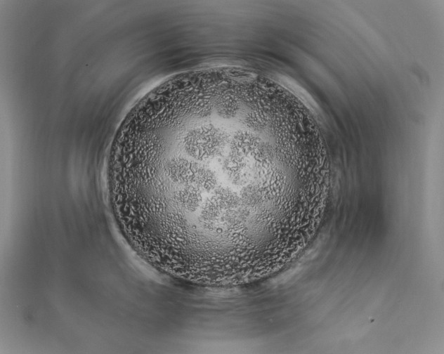 X0000113011055200908271404