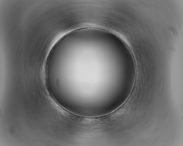 X0000113011056200908271404