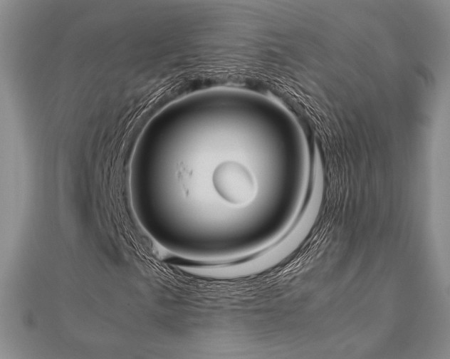 X0000113011057200908271404