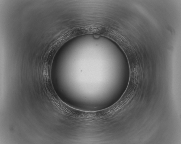 X0000113011058200908271404