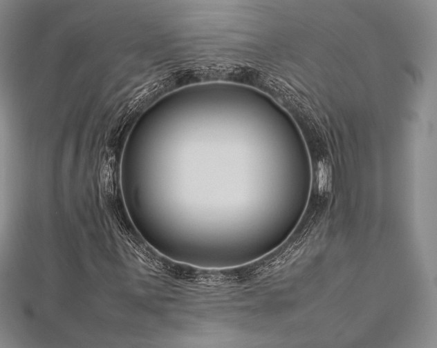 X0000113011059200908271404