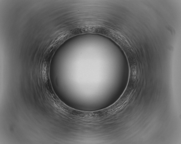 X0000113011060200908271404