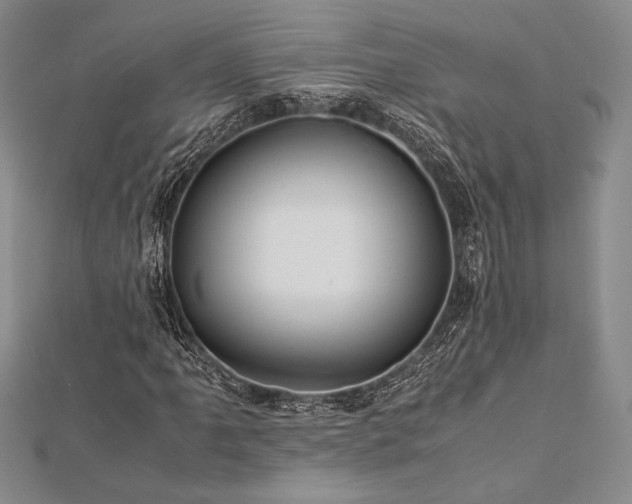 X0000113011061200908271404