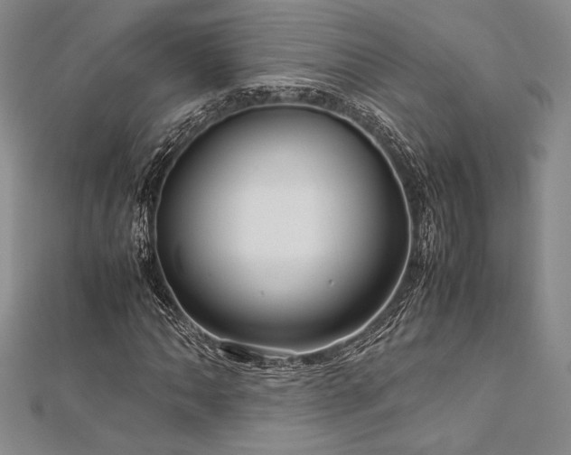 X0000113011062200908271404