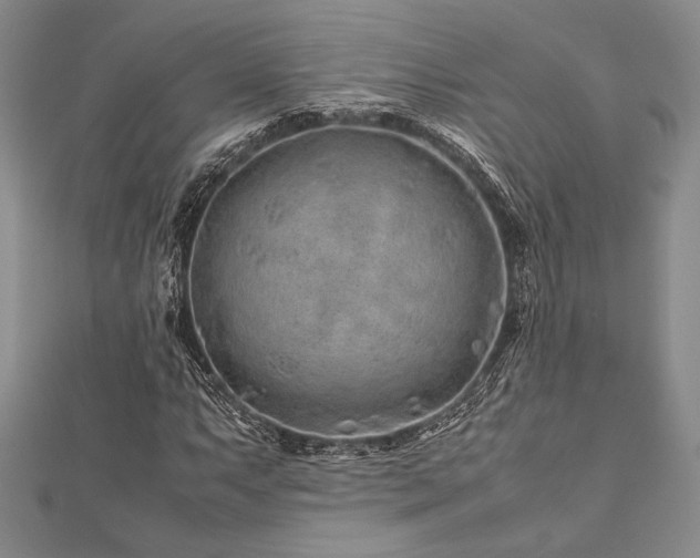 X0000113011063200908271404