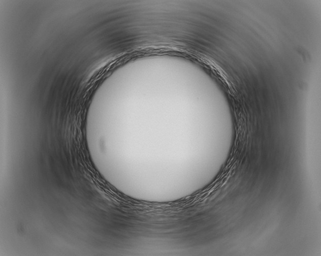 X0000113011064200908271404