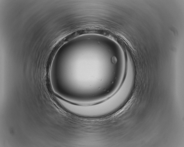 X0000113011065200908271404