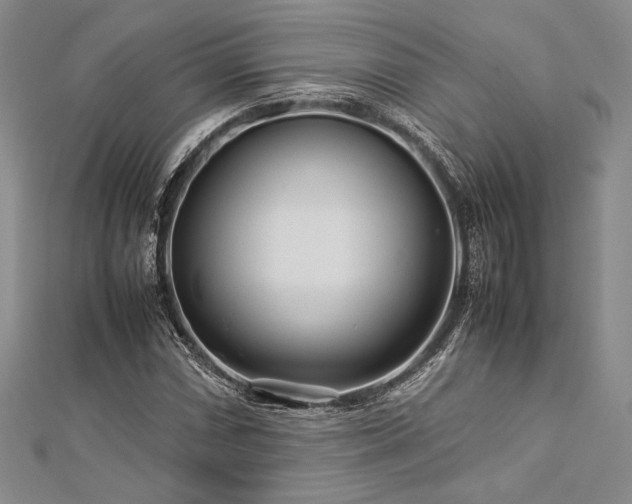 X0000113011066200908271404