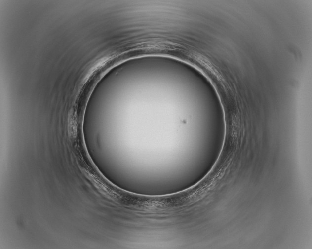 X0000113011067200908271404