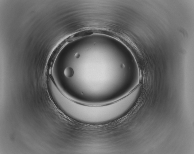 X0000113011068200908271404