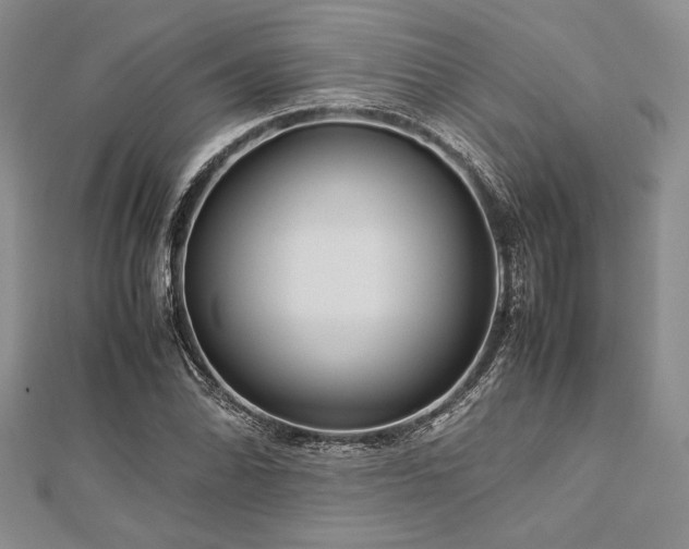 X0000113011070200908271404