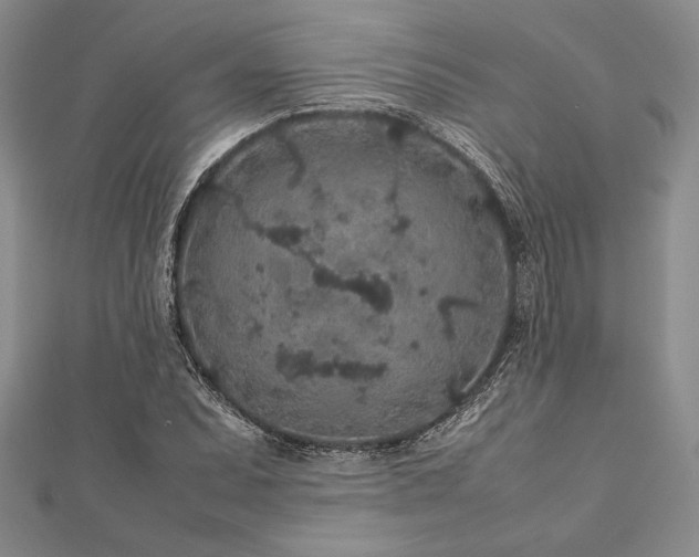 X0000113011071200908271404