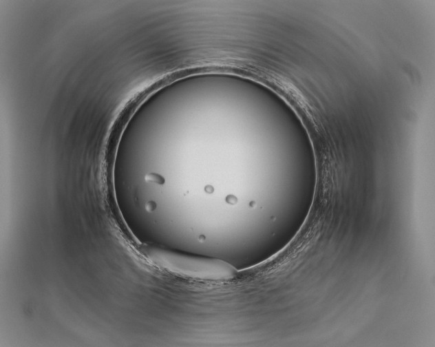 X0000113011072200908271404