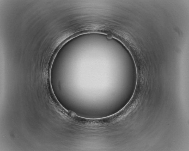 X0000113011073200908271404