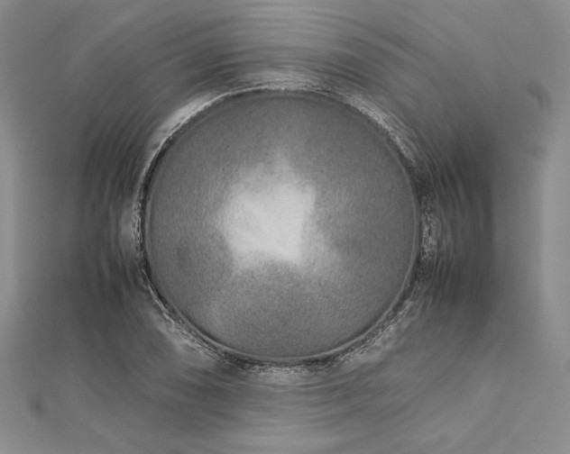 X0000113011074200908271404