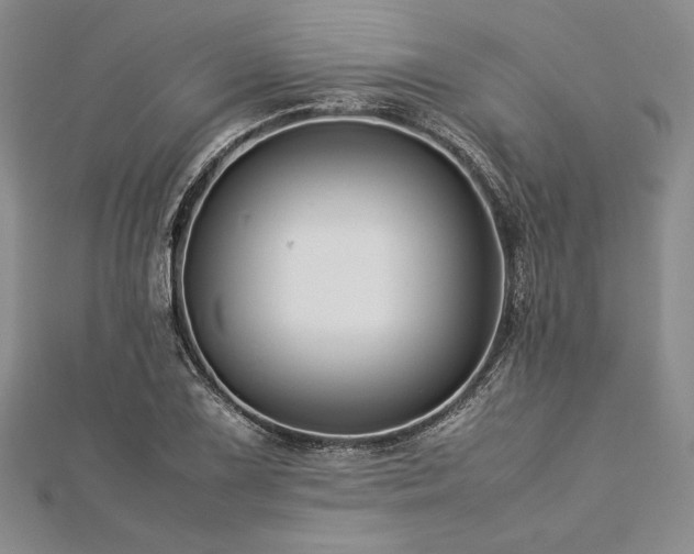 X0000113011075200908271404