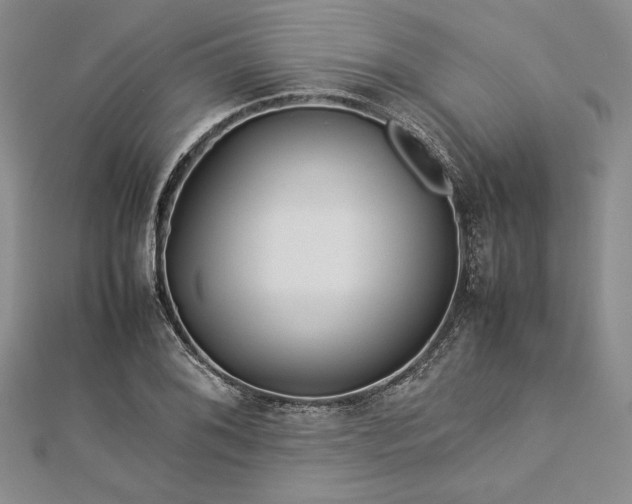 X0000113011076200908271404