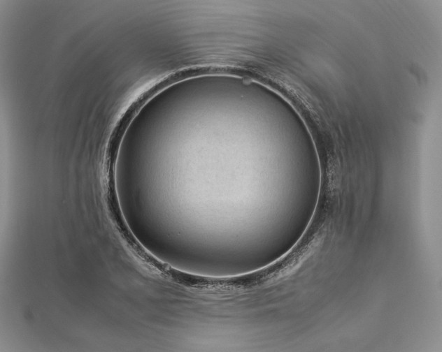 X0000113011077200908271404