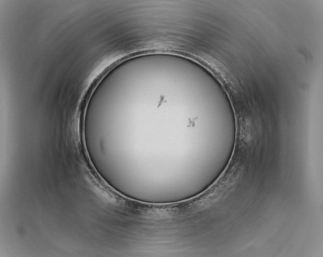 X0000113011078200908271404