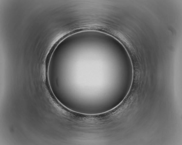 X0000113011079200908271404