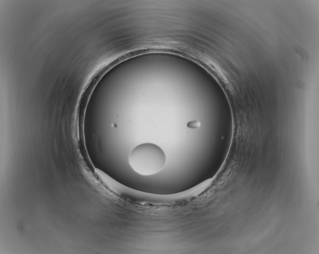 X0000113011080200908271403