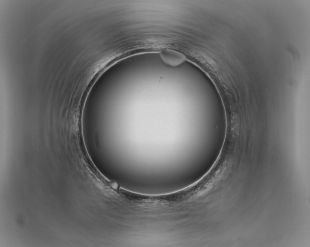 X0000113011081200908271403