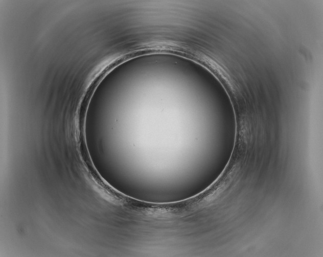 X0000113011082200908271403